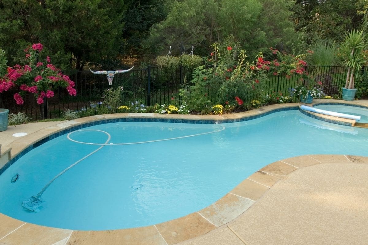 Backyard pool surrounded by lush greenery.