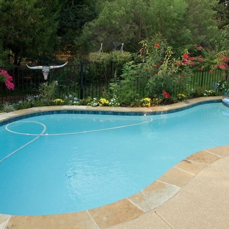 Backyard pool surrounded by lush greenery.